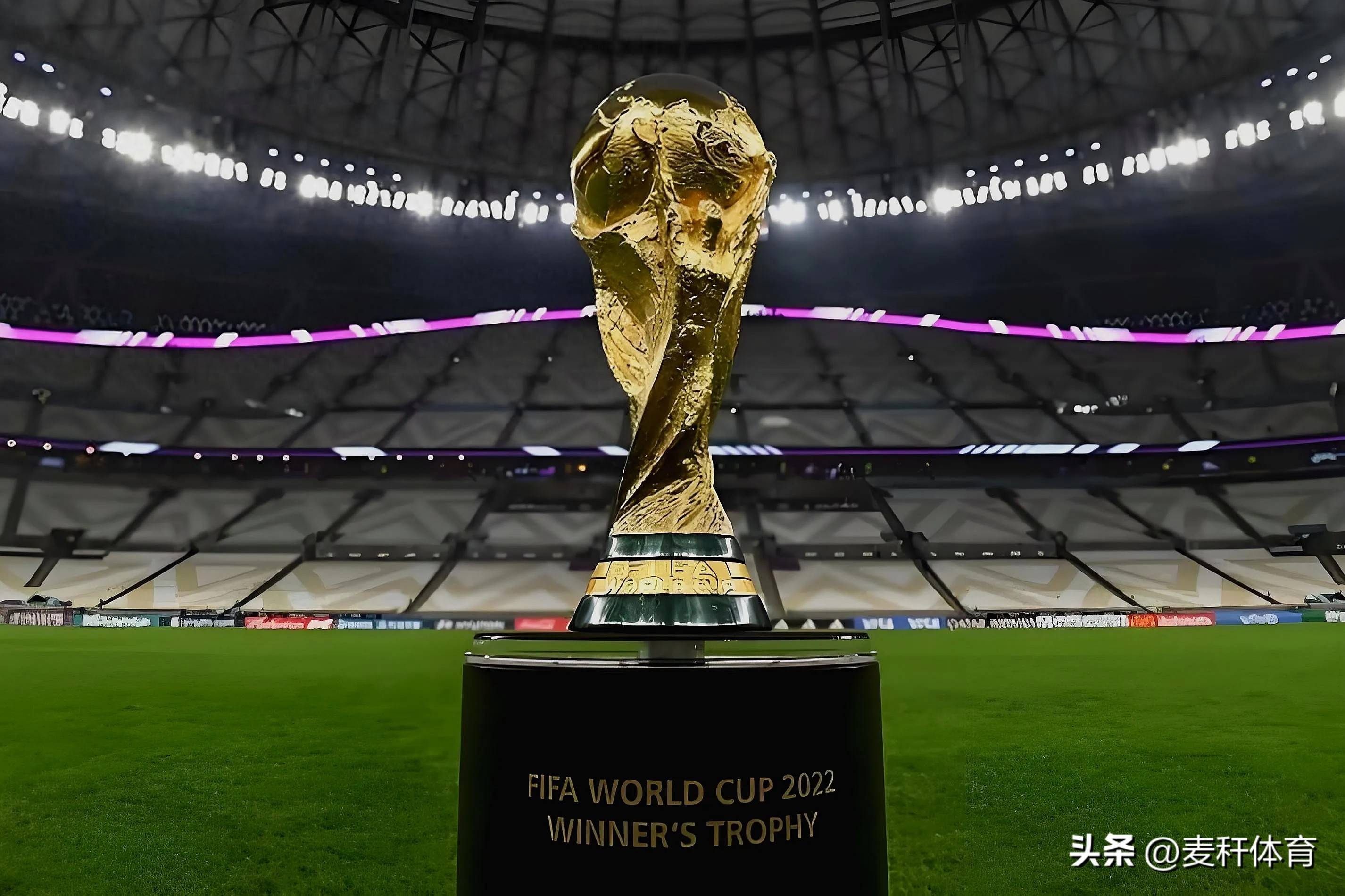 仍有希望去 仍有希望去